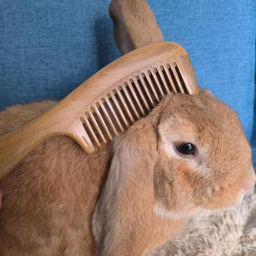 Rabetly Natural Green Sandalwood Hair Comb with Wide Teeth - Anti-Static Detox Wooden Comb