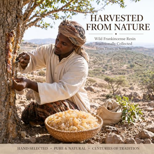 Premium Somali Frankincense Resin Tears for Aromatherapy & Meditation - 30g & 130g