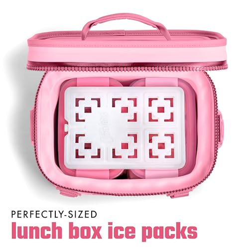 Fit & Fresh XL Reusable Ice Packs - 2 Pack for Coolers & Lunch Boxes