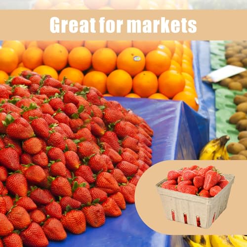 30 Pcs Small Vented Berry Baskets - Natural Pulp Fiber Containers
