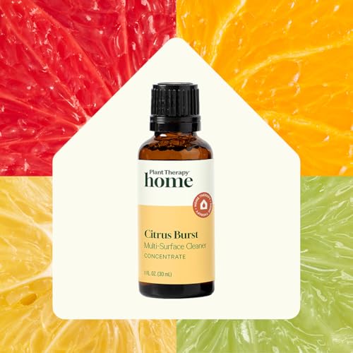 Plant Therapy Citrus Burst Multi-Surface Cleaner Concentrate - 30 mL (2-Pack)