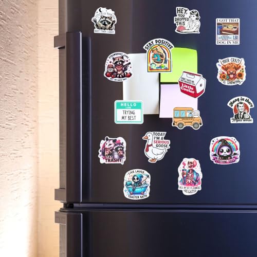 25PC Funny Refrigerator Magnets Set - Humorous Quotes & Designs