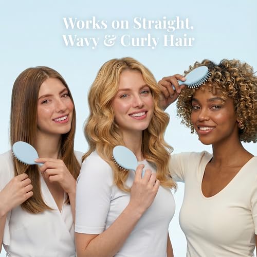 AESPAKO 12 Pack Mini Travel Hair Brushes - Blue, All Hair Types