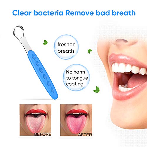 Stainless Steel Tongue Scraper for Fresh Breath - Travel Case Included