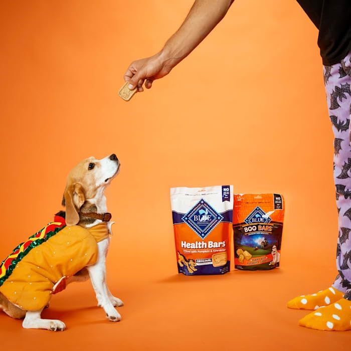 Blue Buffalo Dog Treats - Pumpkin & Cinnamon Crunchy Health Bars | Oven-Baked, Natural Ingredients, 16 oz.