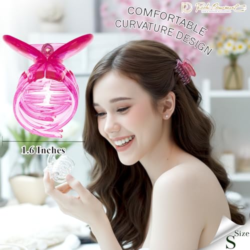 RC ROCHE Transparent Double Claw Hair Clips Set for Women - Small No Slip