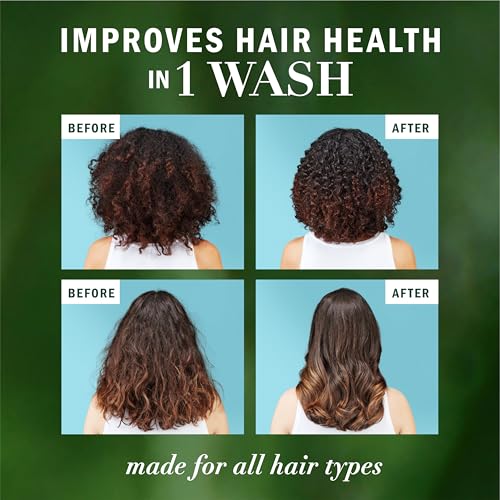 Herbal Essences Argan Oil Shampoo for Damaged Hair - 20.2 fl oz
