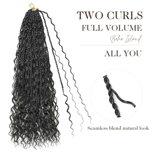 24 Inch Pre-Looped Boho Island Twist Crochet Hair - 1B Natural Black (8 Packs)
