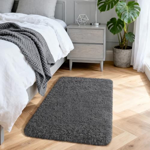Fluffy Dark Grey Area Rug 2x3 - Soft Shaggy Doormat for Bedroom & Living Room