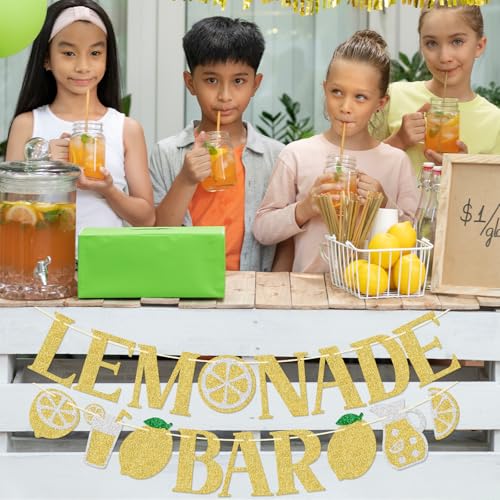 Lemonade Bar Banner – Summer Party Decor, Ready to Hang