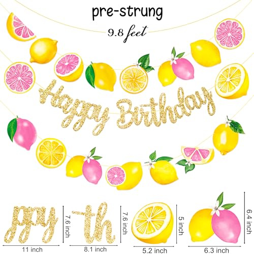 Lemon Pink Citrus Birthday Banner Set - Glitter Garland for Girls