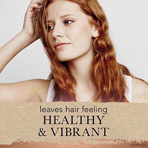 Hair Food Color Repair Concentrate with Shea Butter & Pear, 4 Pack