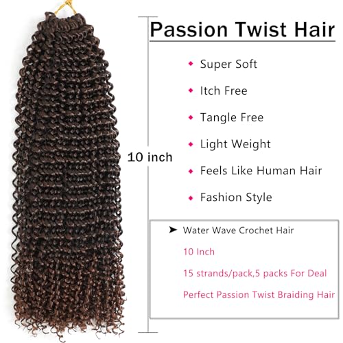 Ahrencan 10 Inch Passion Twist Crochet Hair - 5 Pack T1B/30