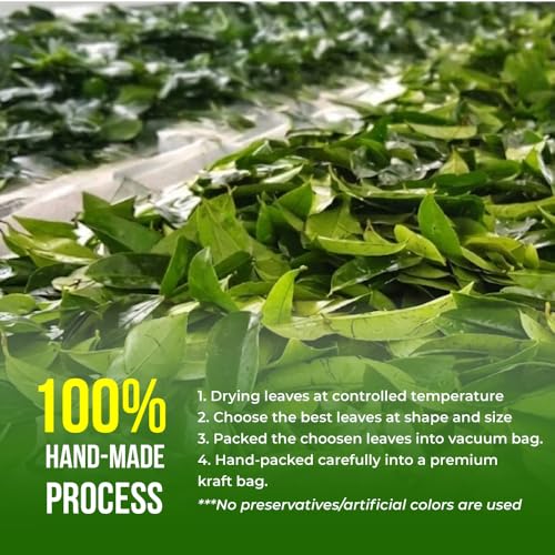 Organic Soursop Leaves - 100% Sun-Dried Herbal Tea | 4 oz