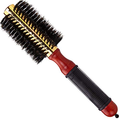 Cantor 2.5 Inch - 12 Row Round Blow Dry Brush with Boar Bristles & Metal Barrel for Short to Medium Hair