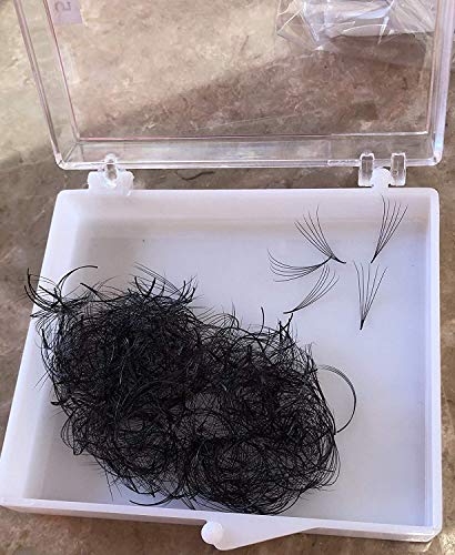 Lash by Holly 5D Premade Silk Fan Lashes, D Curl 0.07mm, 500 Fans Per Tray