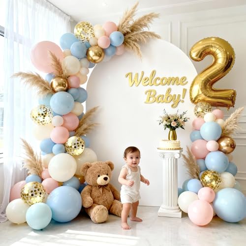 Dusty Pink & Blue Balloon Arch Kit - 129 PCs for Gender Reveal