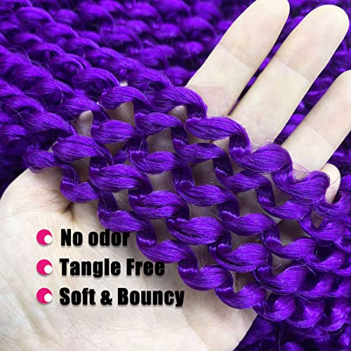 24 Inch Purple Passion Twist Hair - 2 Packs Water Wave Crochet Extensions