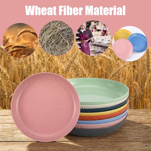 8-Pack Unbreakable Wheat Straw Dinner Plates - 8.7-Inch, Eco-Friendly
