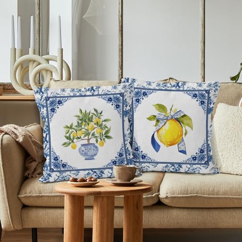 Sun Bird Lemon Chinoiserie Pillow Covers, 18x18 Set of 2