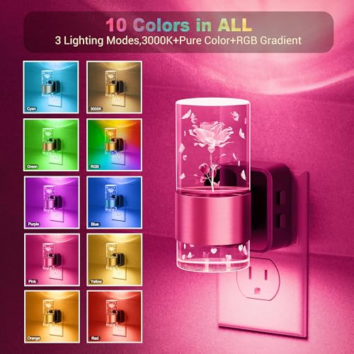 JandCase Rose Carved Night Light with RGB & Soft White Options