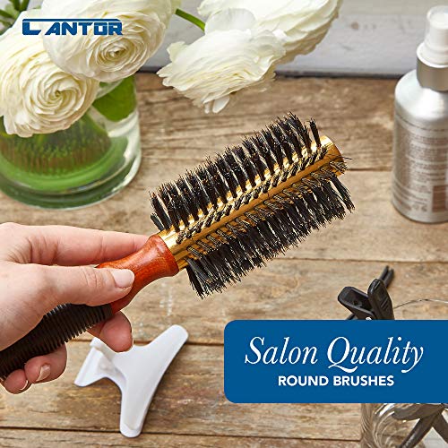 Cantor 2.5 Inch - 12 Row Round Blow Dry Brush with Boar Bristles & Metal Barrel for Short to Medium Hair