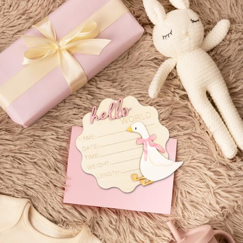 FYSUIMU Silly Goose Newborn Milestone Sign with Pink Bow