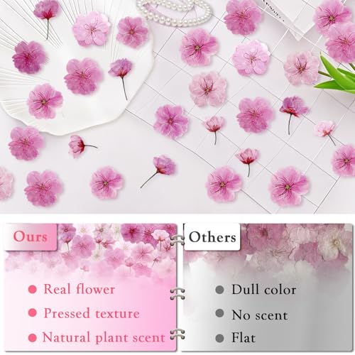 80 Pcs Natural Dried Cherry Blossoms - Edible Flower Decorations for Baking & Crafts