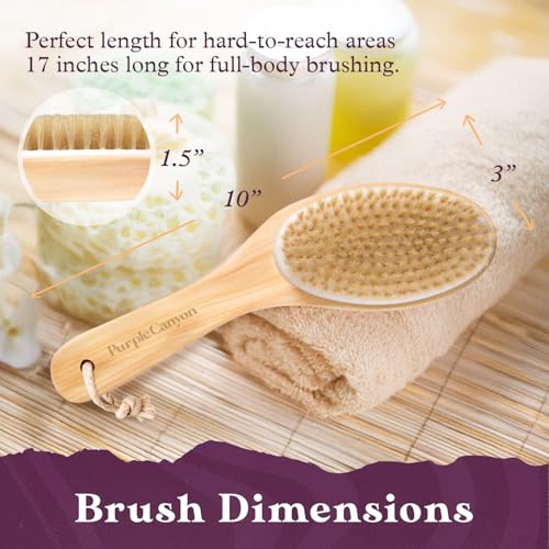 Purple Canyon Natural Boar Bristle Dry Body Brush for Exfoliation & Cellulite