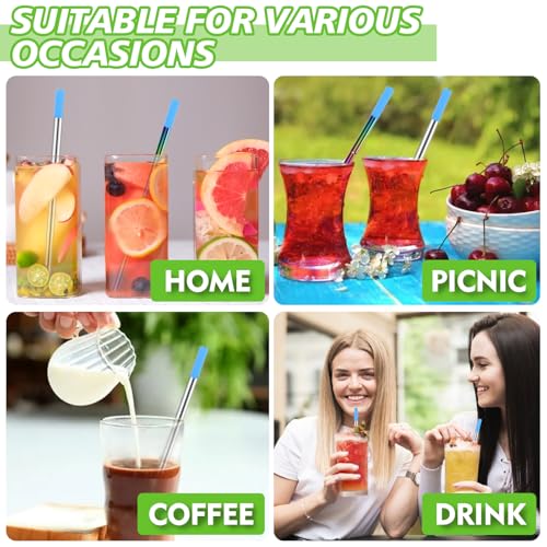 Collapsible Stainless Steel Reusable Straws - 5 Pack with Case & Brushes