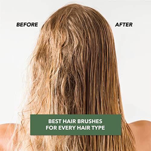 TADA Beauty Bamboo Round Brush - Eco-Friendly Detangling Brush
