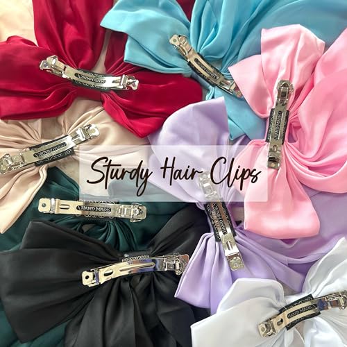 Multicolor TERSE Hair Bows for Women - 10PCS Big Satin Clips