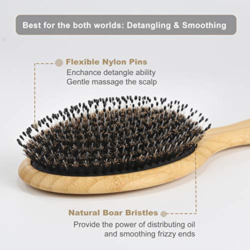 Boar Bristle Hair Brush for Detangling & Smoothing - Regular & Small Sizes