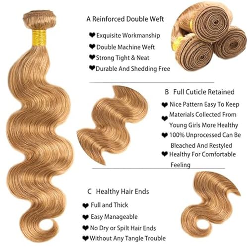 Honey Blonde Body Wave Human Hair Bundle - 14 Inch Brazilian Virgin Hair