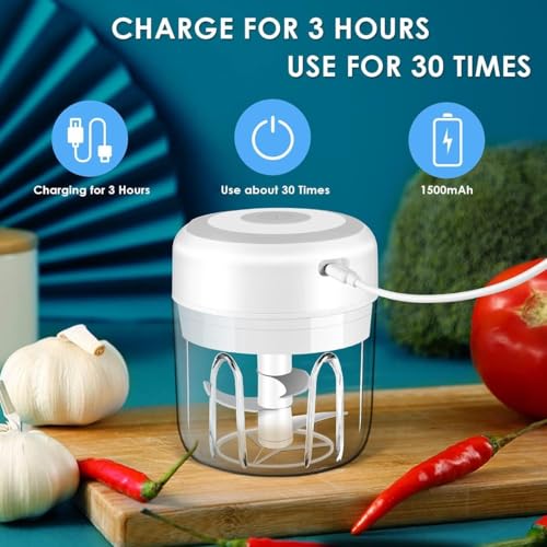 ThomsMait Electric Garlic Chopper - 30W USB Rechargeable Mini Food Processor