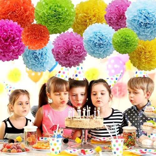 Colorful Tissue Paper Pom Poms - 12Pcs Fiesta Party Decorations