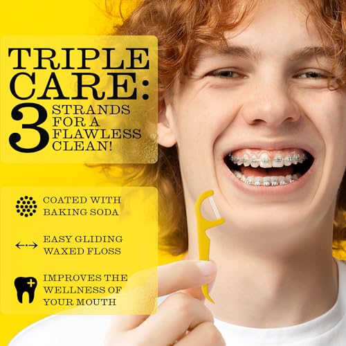 TWICE Eco-Friendly Dental Floss Picks – 300 Count, Mint Flavor