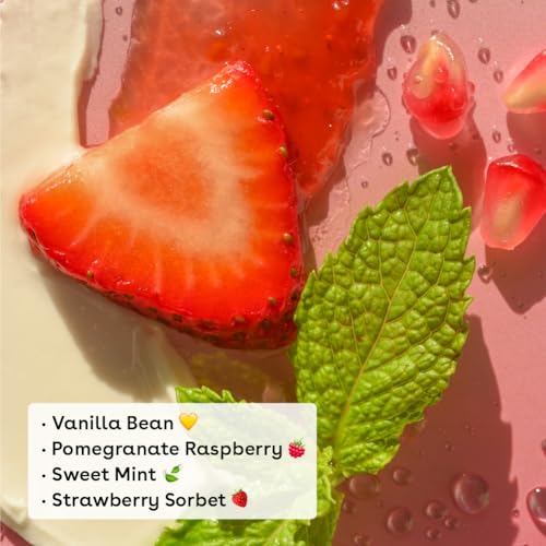 Limited Edition Holiday Lip Balm Set - Vanilla Bean, Pomegranate Raspberry, Sweet Mint & Strawberry Sorbet - 4 Pack, Organic, Sensitive Skin