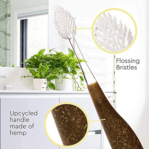 RADIUS Source Toothbrush - Ergonomic Medium Brush for Gum Health