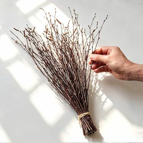 30 Natural Birch Branches - 17" Dried Twigs for Vases & Decor