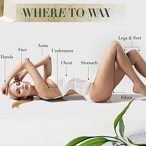Clean + Easy Large Sensitive Roll-On Wax Refill 3-Pack for Facial & Body Hair Removal