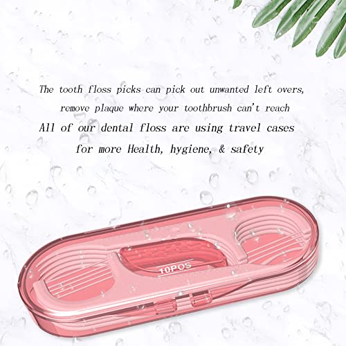 Setaria Viridis Dental Floss Picks - 100 High Toughness Picks with Cases