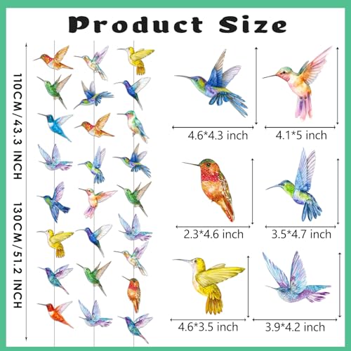 Hummingbird Birthday Party Decorations - Set of 6 Colorful Garlands