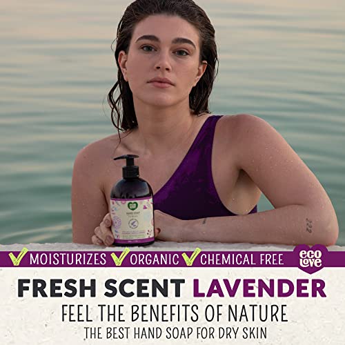 ecoLove Vegan Liquid Hand Soap, Blueberry & Lavender, 17.6 oz