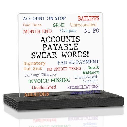 Funny Accountant Acrylic Desk Plaque | Office Humor Gift for AP Teams