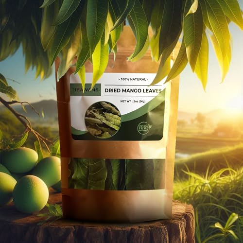 Heawans Dried Mango Leaves - 2oz Freshly Harvested