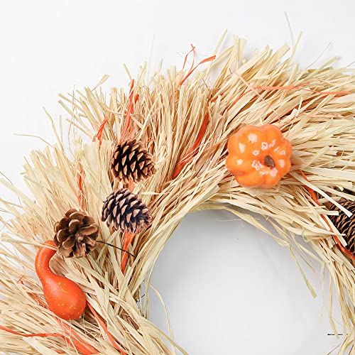 18 Natural Pine Cones for Rustic Christmas & Fall Decor
