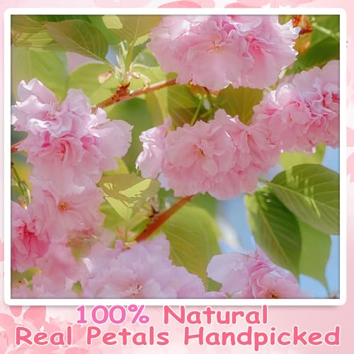 80 Pcs Natural Dried Cherry Blossoms - Edible Flower Decorations for Baking & Crafts