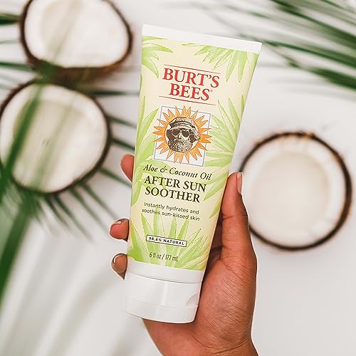Burt's Bees After Sun Lotion with Aloe Vera & Coconut Oil - 6 oz Tube