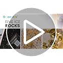 DomeStar 4200 PCS Clear Fake Ice Rocks - Mini Acrylic Crystals for Decor